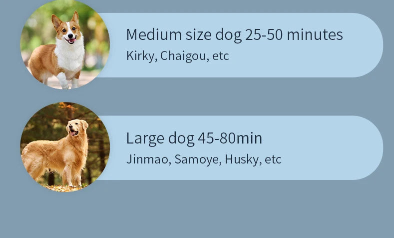 Kit 3 em 1 para Pets – Secador Silencioso para Cães com Escova, Pente para Gatos e Cães, Baixo Ruído e Controle de Temperatura