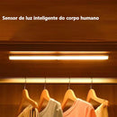 Wireless Induction LED Lamp